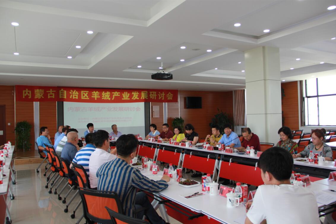 齊心協(xié)力，共謀內(nèi)蒙古羊絨產(chǎn)業(yè)發(fā)展新思路