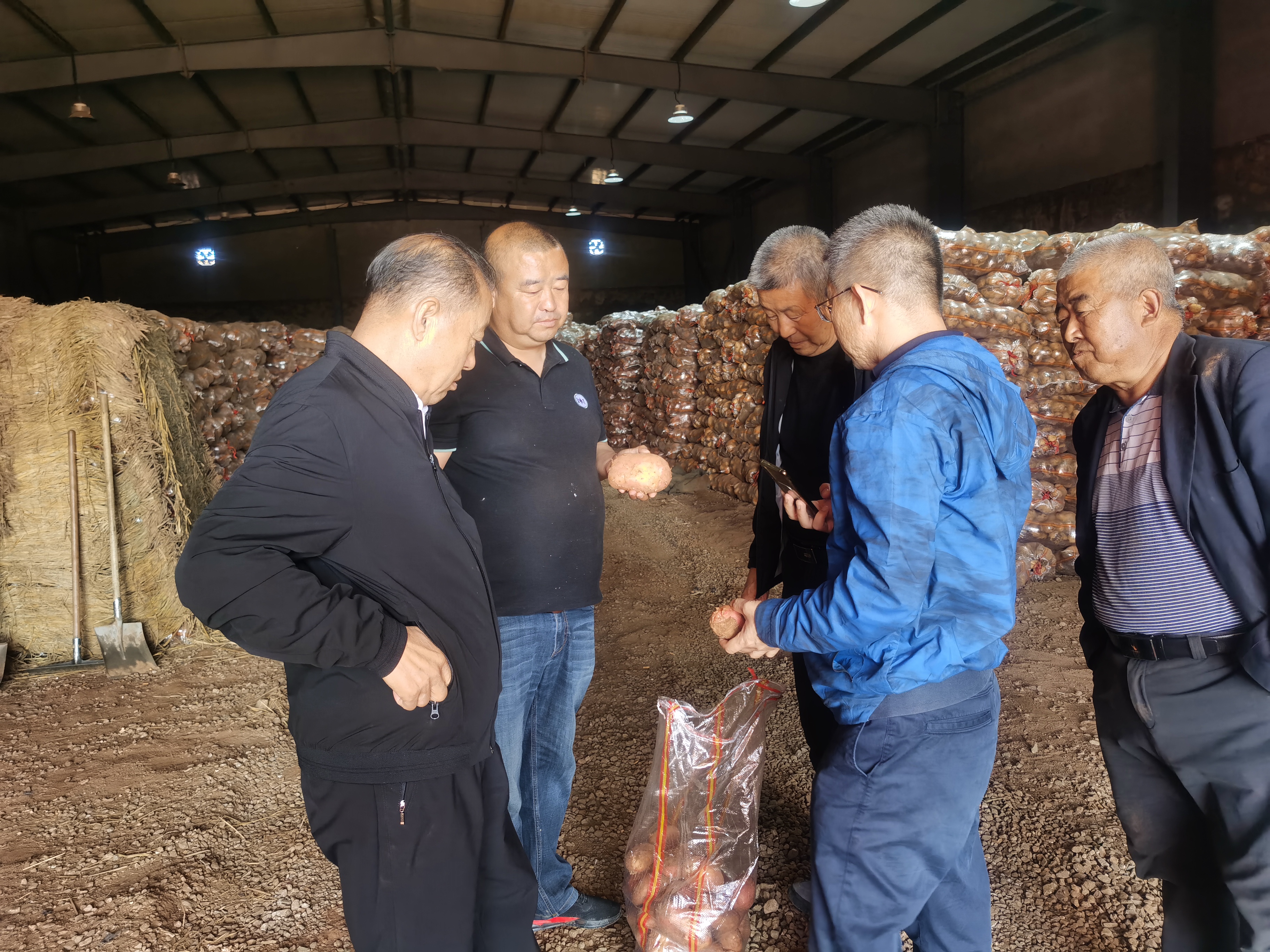 資源對接，互惠共贏 借助商協(xié)會平臺優(yōu)勢助力內(nèi)蒙古馬鈴薯 企業(yè)開拓山東市場