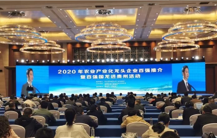 2020年農(nóng)業(yè)產(chǎn)業(yè)化龍頭企業(yè)百強名單發(fā)布協(xié)會副會長單位伊利集團、蒙牛乳業(yè)等多家企業(yè)榜上有名！